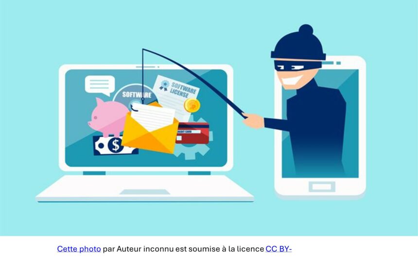 Arnaque moi si tu peux QDN Mars 2024 : Arnaque-moi si tu peux ! : 40% des jeunes investisseurs sont victimes de fraude à l’investissement !