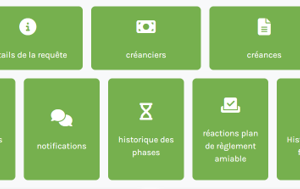 QDN juin 2026: Accès des médiateurs de dettes à la banque-carrefour des véhicules